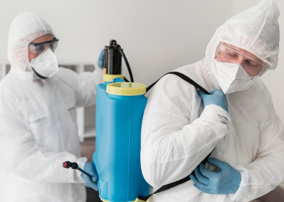 Dépotage d’un conteneur : conseils pour éliminer les résidus de fumigation